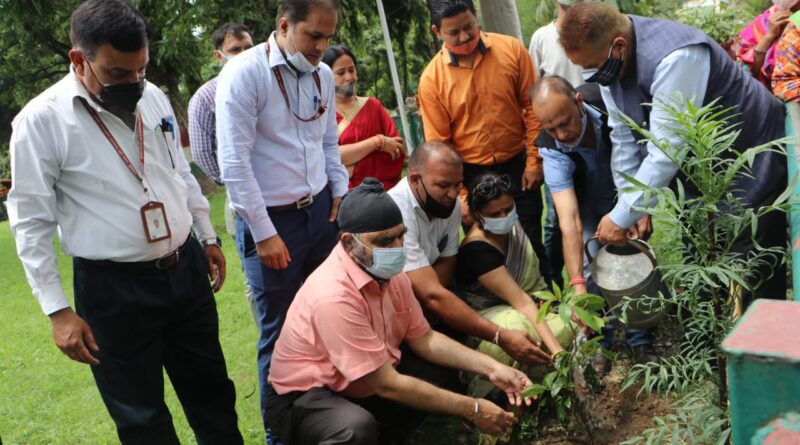 हरेला पर्व के अवसर पर राष्ट्रीय दृष्टि दिव्यांगजन सशक्तिकरण संस्थान में वृक्षारोपण करते कैबिनेट मंत्री गणेश जोशी!