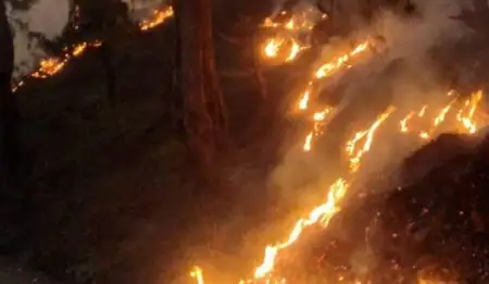 उत्तराखंड के जंगलों में आखिर क्यों लग रही आग?