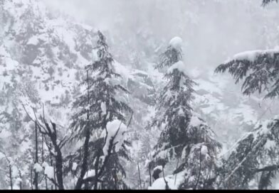 उत्तराखंड में कुदरत का कहर: भारी बर्फबारी से गंगोत्री हाईवे बंद, बदरीनाथ धाम में बिछी 2 फीट मोटी सफेद चादर उत्तराखंड में कुदरत का कहर: भारी बर्फबारी से गंगोत्री हाईवे बंद, बदरीनाथ धाम में बिछी 2 फीट मोटी सफेद चादर
