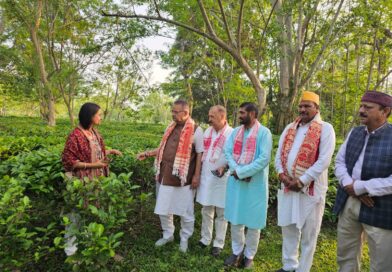 असम के चाय बागानों में पहुंचे कृषि मंत्री गणेश जोशी, उत्तराखंड में चाय उत्पादन बढ़ाने के लिए परखी तकनीक